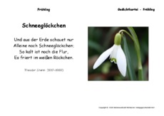 Schneegloeckchen-Storm.pdf